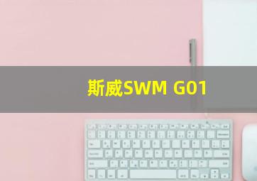 斯威SWM G01